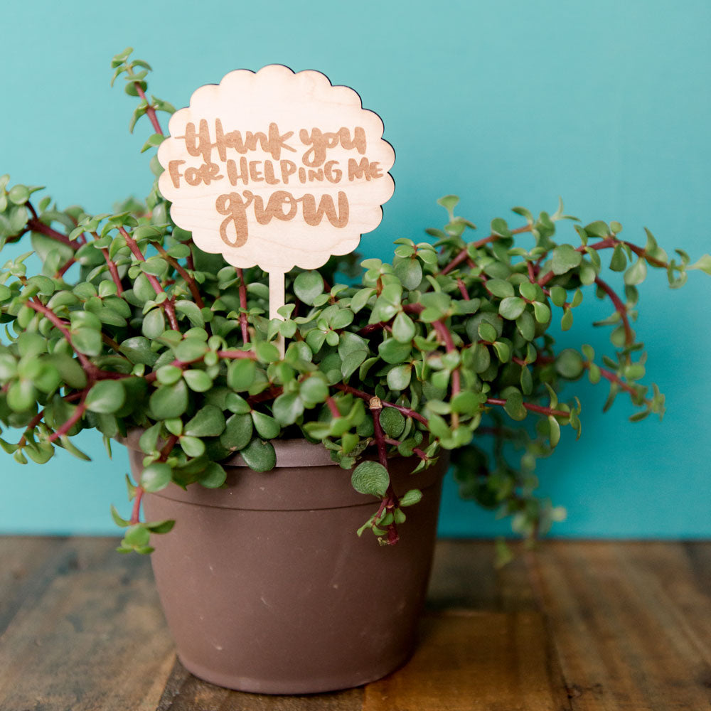 Thank You For Helping Me Grow planter stick for Teachers